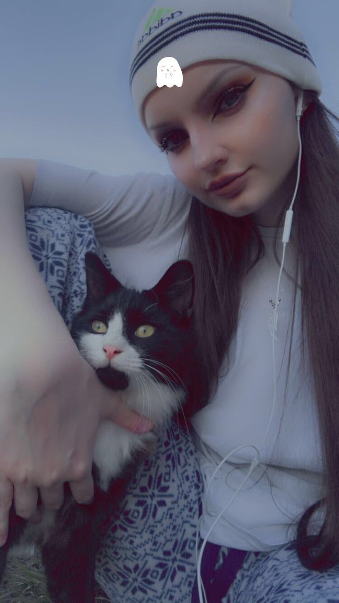 DastardlyDeacon's tweet image. i never thought i'd make a thread like this but this is extremely important, and we can't afford it right now. please read the whole thread.

this is my cat, chicken. a few days ago, his tail was ran over. ever since, he has had trouble walking, and there's a dent in his back.