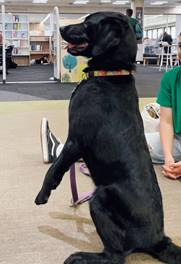 Murdoch Uni Library tweet media