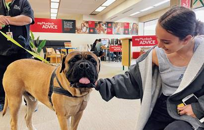 Murdoch Uni Library tweet media