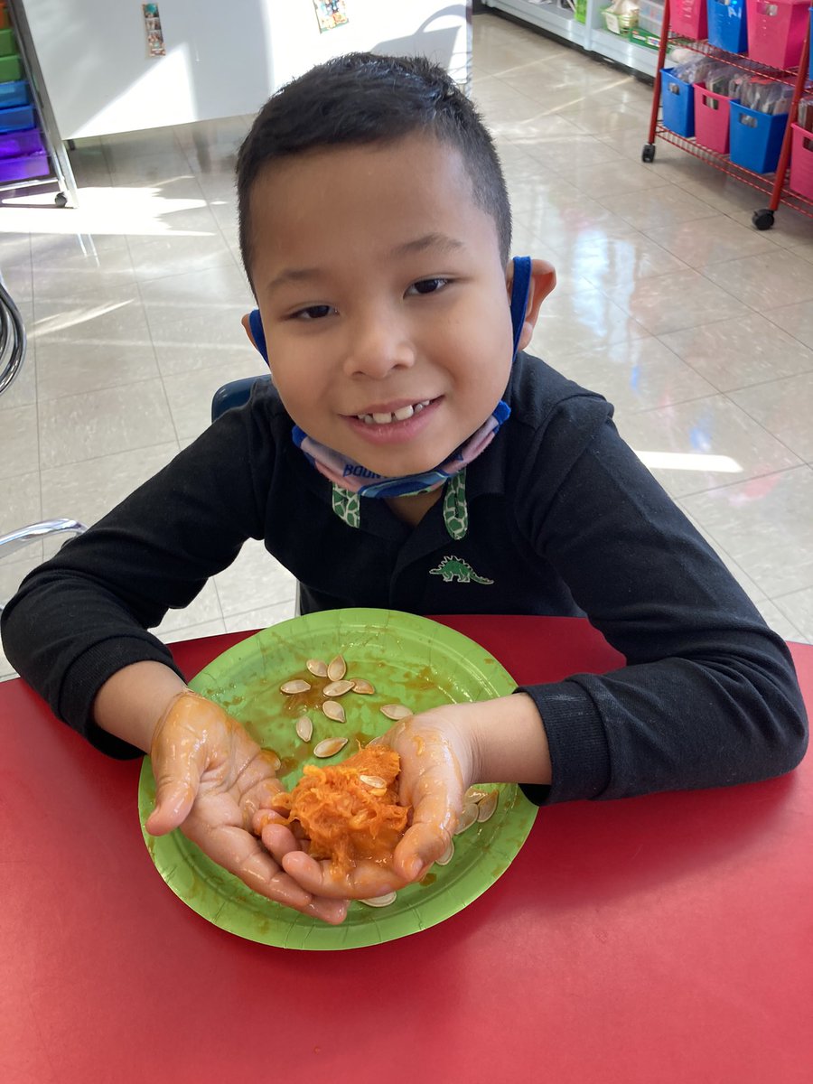 JENNIFER MIRABELLI tweet media