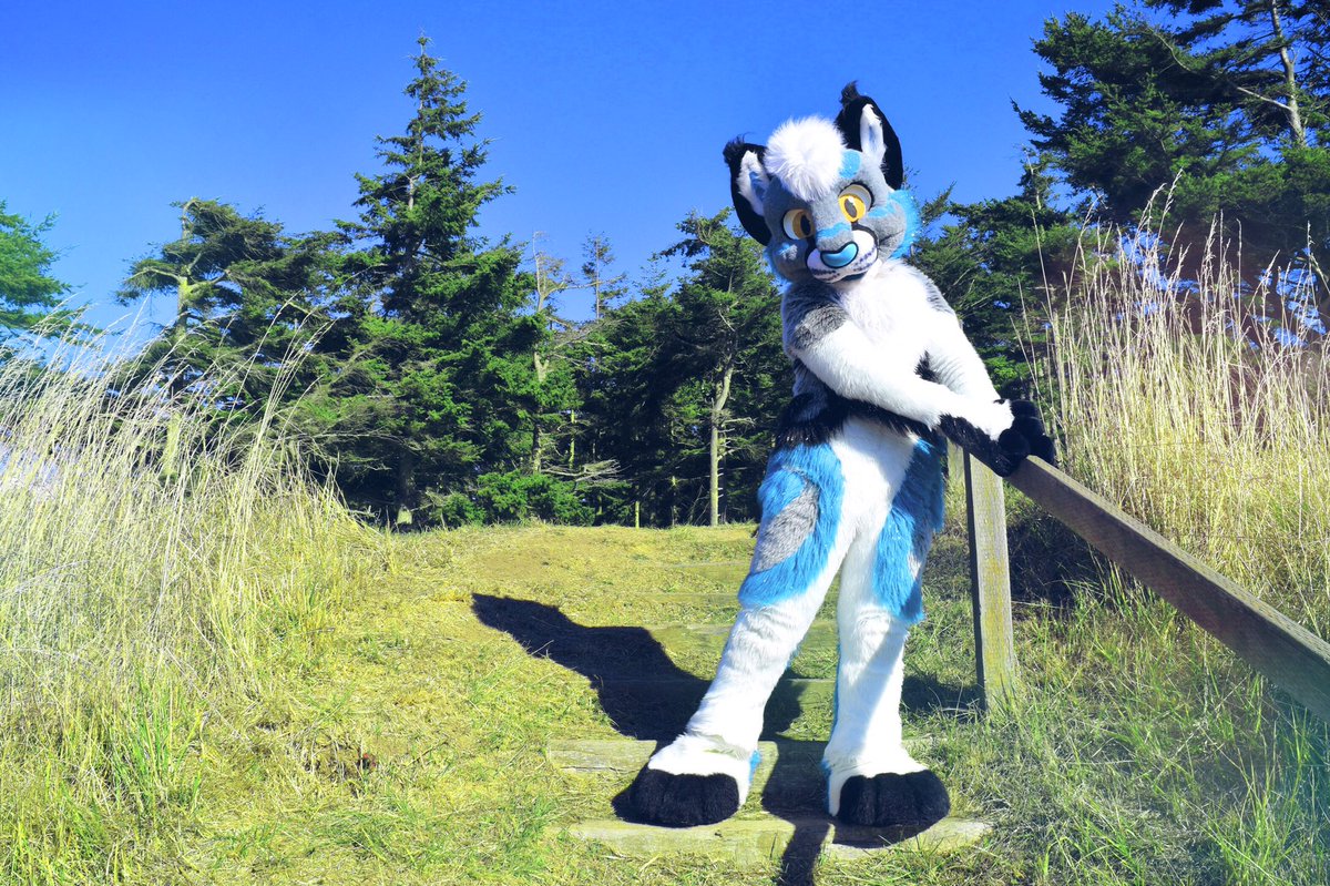 Twilight_Saint's tweet photo. Follow your own path!💙🕺

@SabotageLynx #furry #fursuit #fursuits https://t.co/BRIOXVWIdN