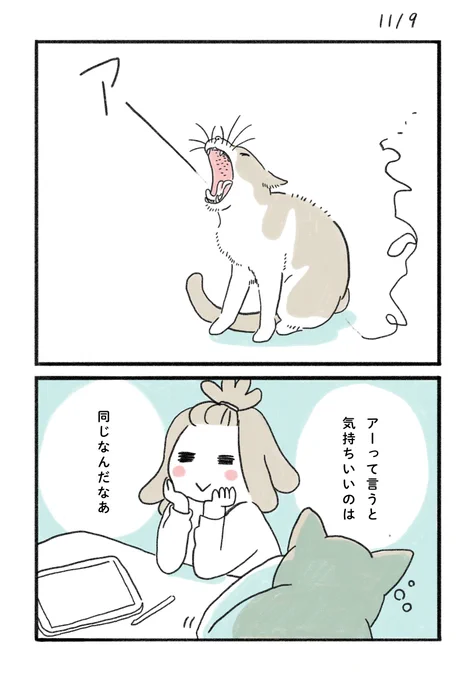 ねこの「あくび」の話😸

#みちこの日記   #コルクラボマンガ専科 #猫のいる暮らし 