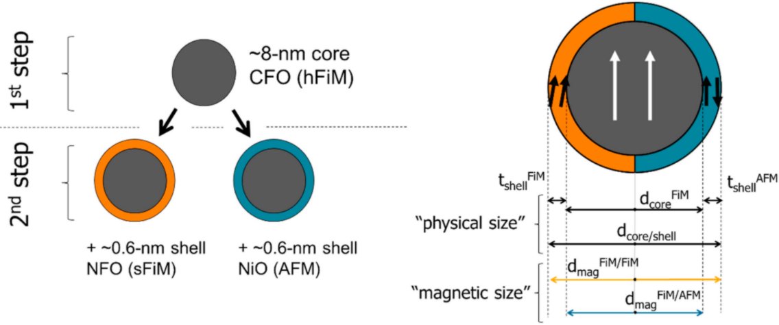 Magnetochem's tweet photo. 🌞Read our latest article "#Magnetic Properties of Bi-Magnetic Core/Shell Nanoparticles: The Case of Thin Shells" by Alexander Omelyanchik et al. @UniGenova @Ikbfu_eng @Sydney_Uni 👉https://t.co/eOhVyTvSDD
#magneticnanoparticles #exchangecoupling #magneticvolume #CoFe2O4 #NiFe2O4 https://t.co/zMX9fQ0J6A