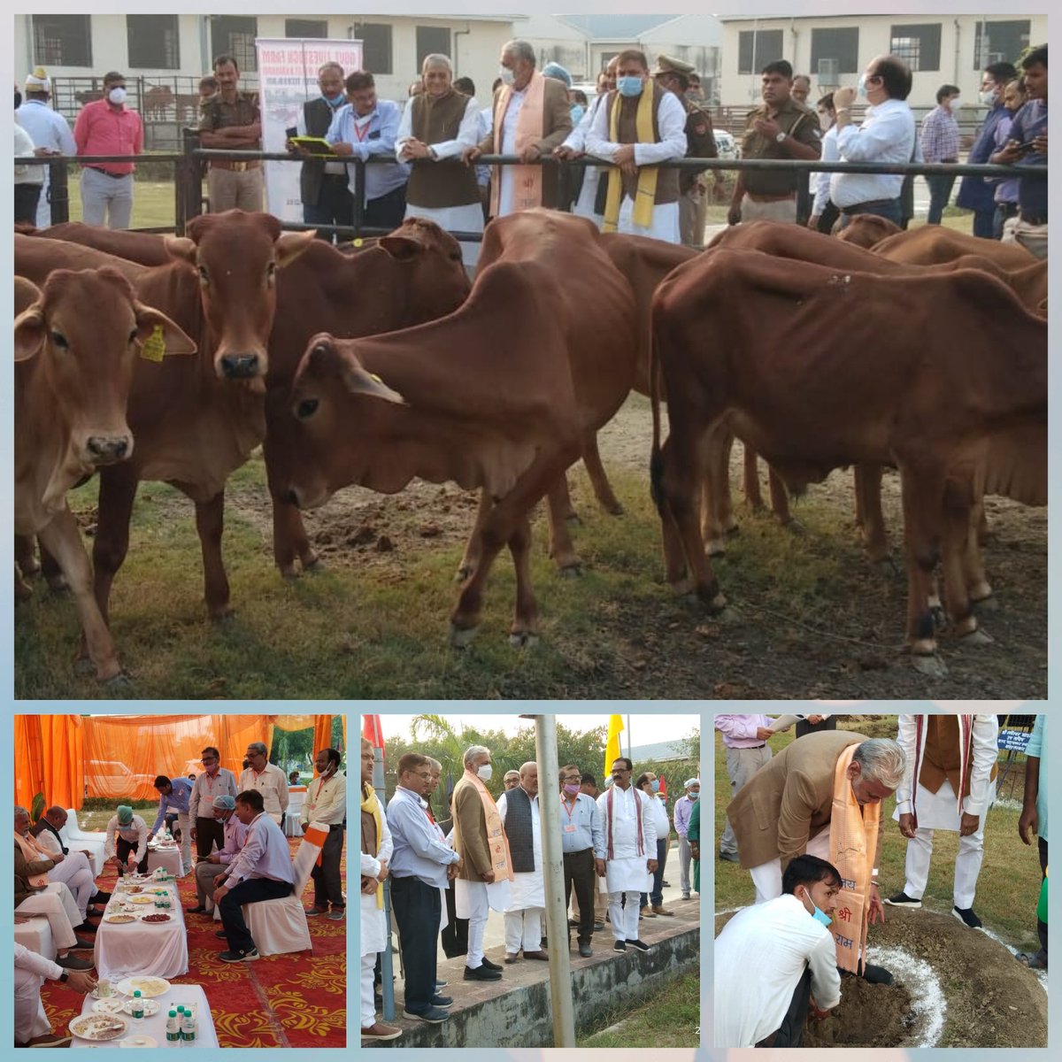 akvet1964's tweet photo. Union Cabinet Minister GOI Honb,le Sri Parsottam Rupala visited Sahiwal cow breed Conservation farm at Niblet, Barabanki UP on 8th Nov, 2021. Besides the IVF lab,he saw the calves born through ETT and IVF. https://t.co/QpvHhBCZJf