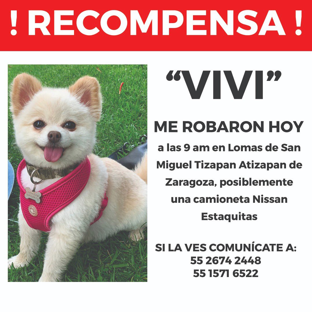 Por favor ayuden a difundir 🙏🏼🙏🏼🙏🏼