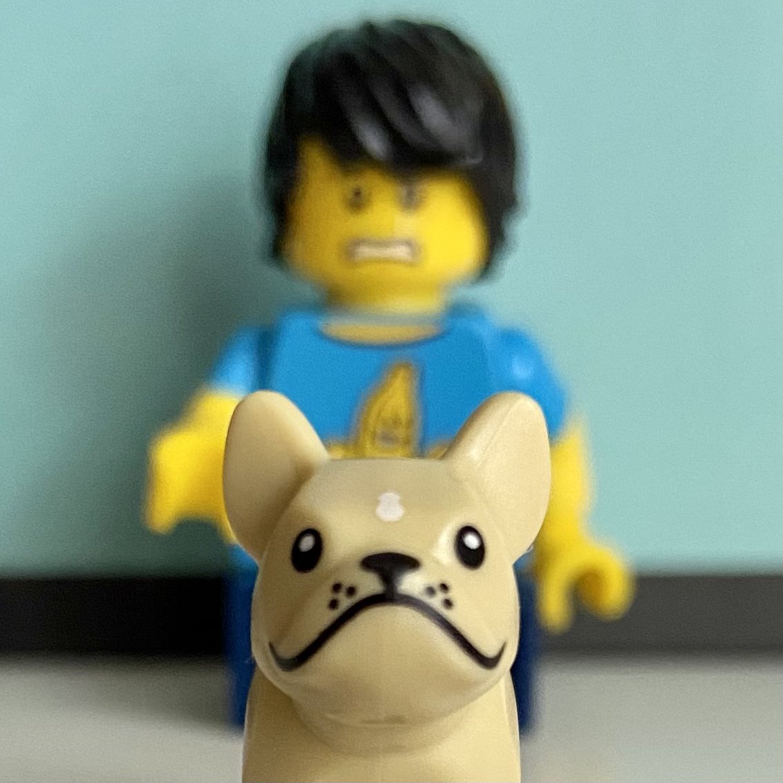 Photobombed! 😃📷🐶😑 ¡Fotobomba!
#rebuildtheworld #legopets #legodog #legoinreallife #legolife #afol #tfol #lego #minifigslife #toyslife #toypics #toyinstagram #legofeature #womenintoyphotography #legohub #legoespaña #legoworld #legofan <a href="/LEGO_Group/">LEGO</a> #afolcommunity