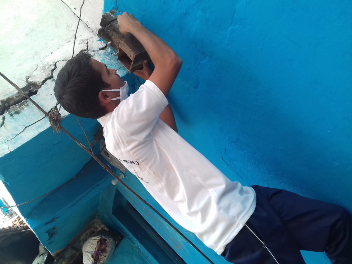 UNV_India's tweet photo. Thansingh Sahu a @UNV_India youth-advocate leads #biodiversity #conservation at Dhodiya, Rajnandgaon, in Chattisgarh. 

The young #chanagemaker engages in tree #plantation drive &amp; has installed nest box for #birds across the village.

#VolunteeringJourney #ClimateActionNow https://t.co/x0zzDlNwC3