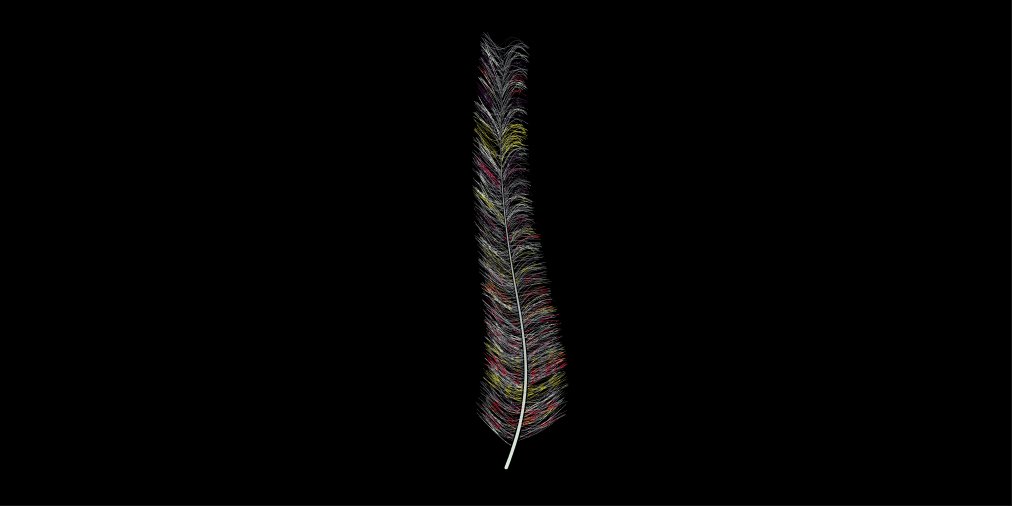 FeatherNFT - Mint NOW on SOL tweet media