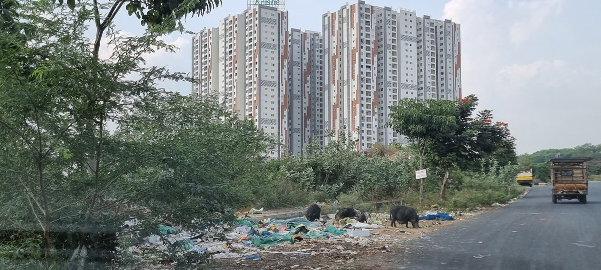 sudhakr's tweet photo. Dear @ZC_SLP @GHMCOnline 

We have been escalating and reopepning these tickets again and again...but Mr Jalandhar Reddy is closing them with out any action. Public sanitization is very poor in TNGO colony area. Pigs and dogs are on high rise due to this. How can we escalate this https://t.co/8HyU9cqkQ2