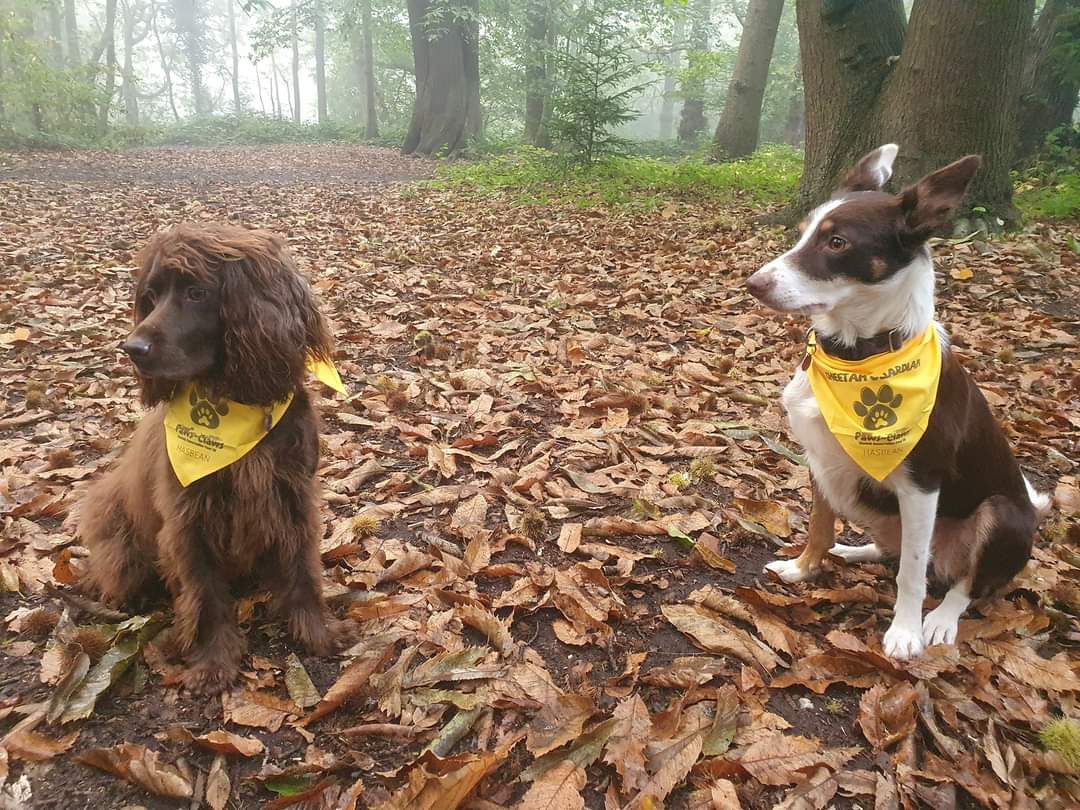 CCFCheetahUK's tweet photo. #PawsforClaws was a huge success - TQ to our awesome sponsors @FormaraPrint @DSColour @hasbean & @PetsLoveFresh, and to all participants and pups!
Here's the winners of our photo comp ⬇️ our top fundraisers were Ivy (£530), Ethan (£154.88) & Shrewsbury Coffeehouse (£300) 👏 https://t.co/dBWOLgdIDd
