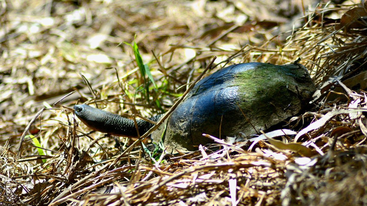 Melbourne Water tweet media