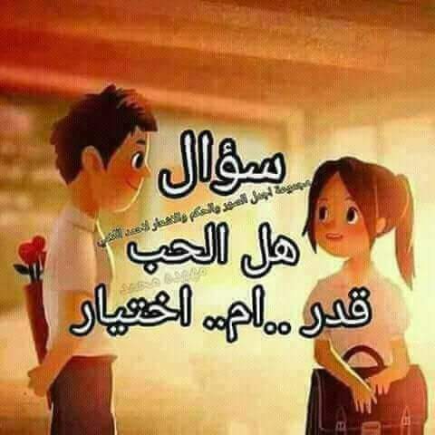 سؤال اليوم؟