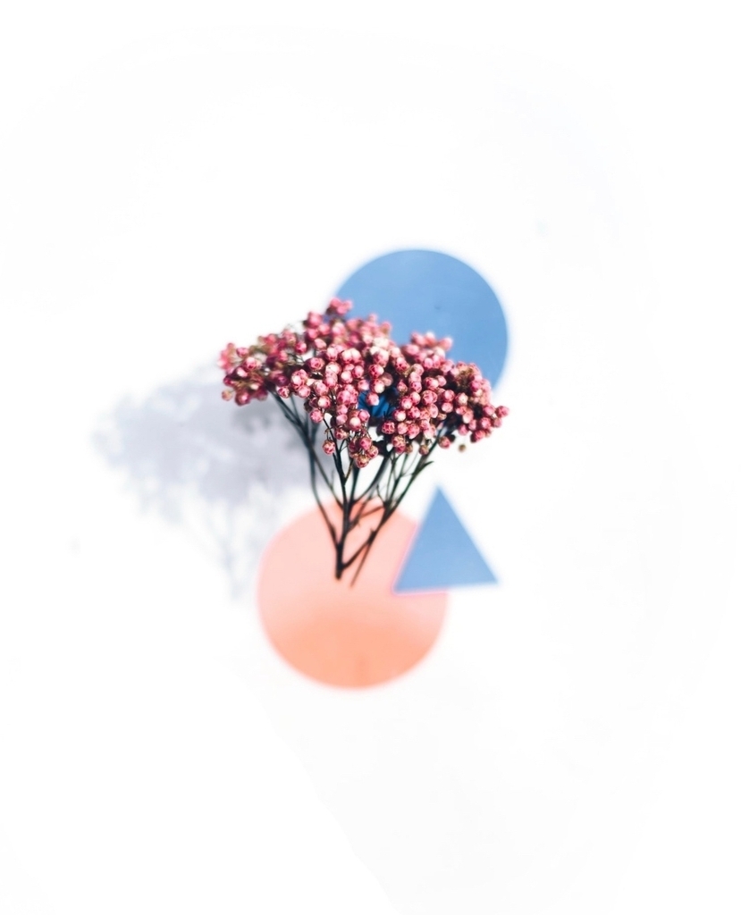 mayfairsilk's tweet image. It's WORLD FREEDOM DAY: " There is no such thing as freedom of choice unless there is freedom to refuse." - David Hume⁠
⁠
Let there be choice because within choice remains the  seed of ultimate freedom.