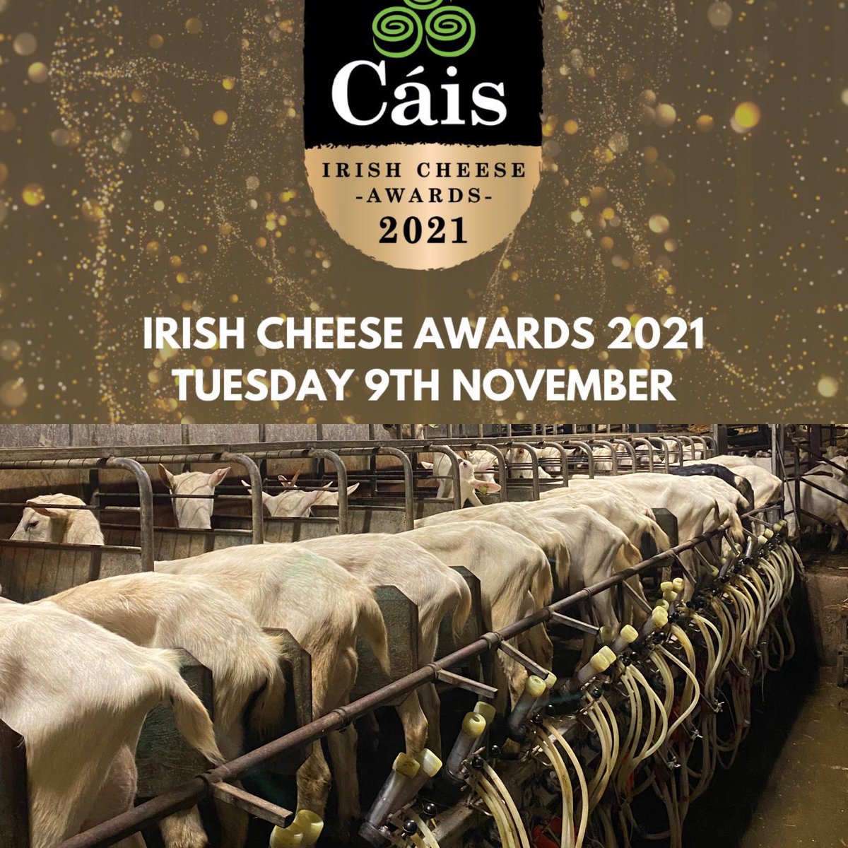 Boyne Valley Cheese tweet media