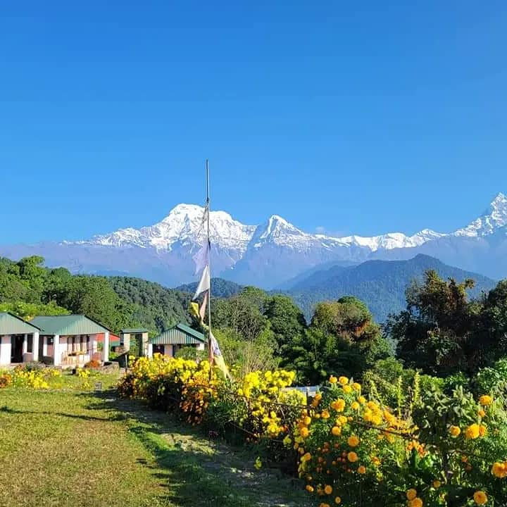AimingL's tweet photo. Trekking in #Annapurna. Eye-popping Himalayan views from the Annapurna trekking trail. This is one of the most incredible treks in Nepal #Himalayas.
#annapurnas #journeytoannapurna #sunrisetrek #poonhill #australiancamp #mountainregion #familytrip #easyhike #annapurnamassive https://t.co/evHkAUNTMX