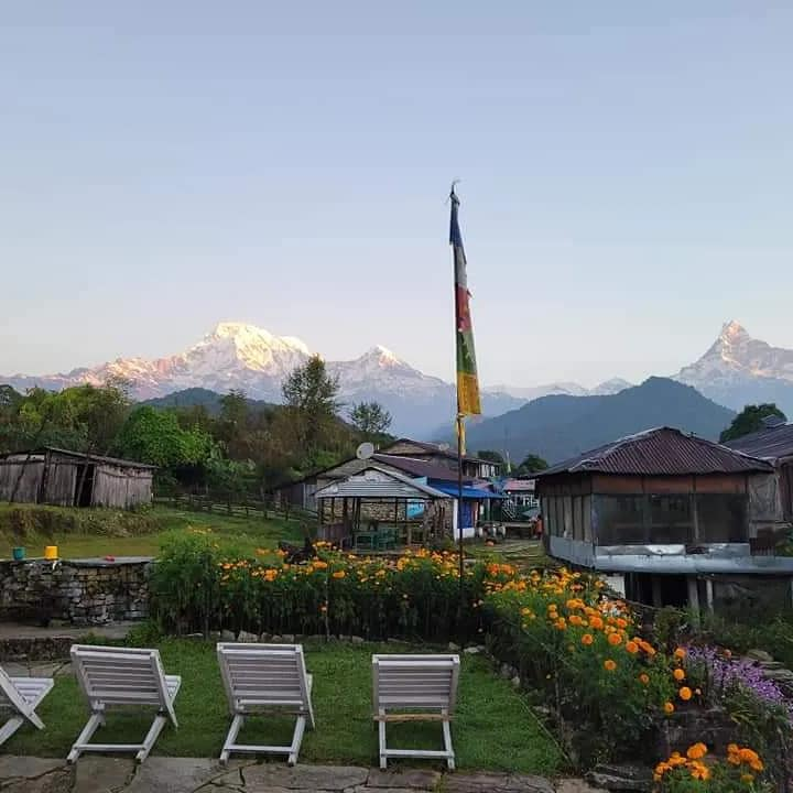 AimingL's tweet photo. Trekking in #Annapurna. Eye-popping Himalayan views from the Annapurna trekking trail. This is one of the most incredible treks in Nepal #Himalayas.
#annapurnas #journeytoannapurna #sunrisetrek #poonhill #australiancamp #mountainregion #familytrip #easyhike #annapurnamassive https://t.co/evHkAUNTMX