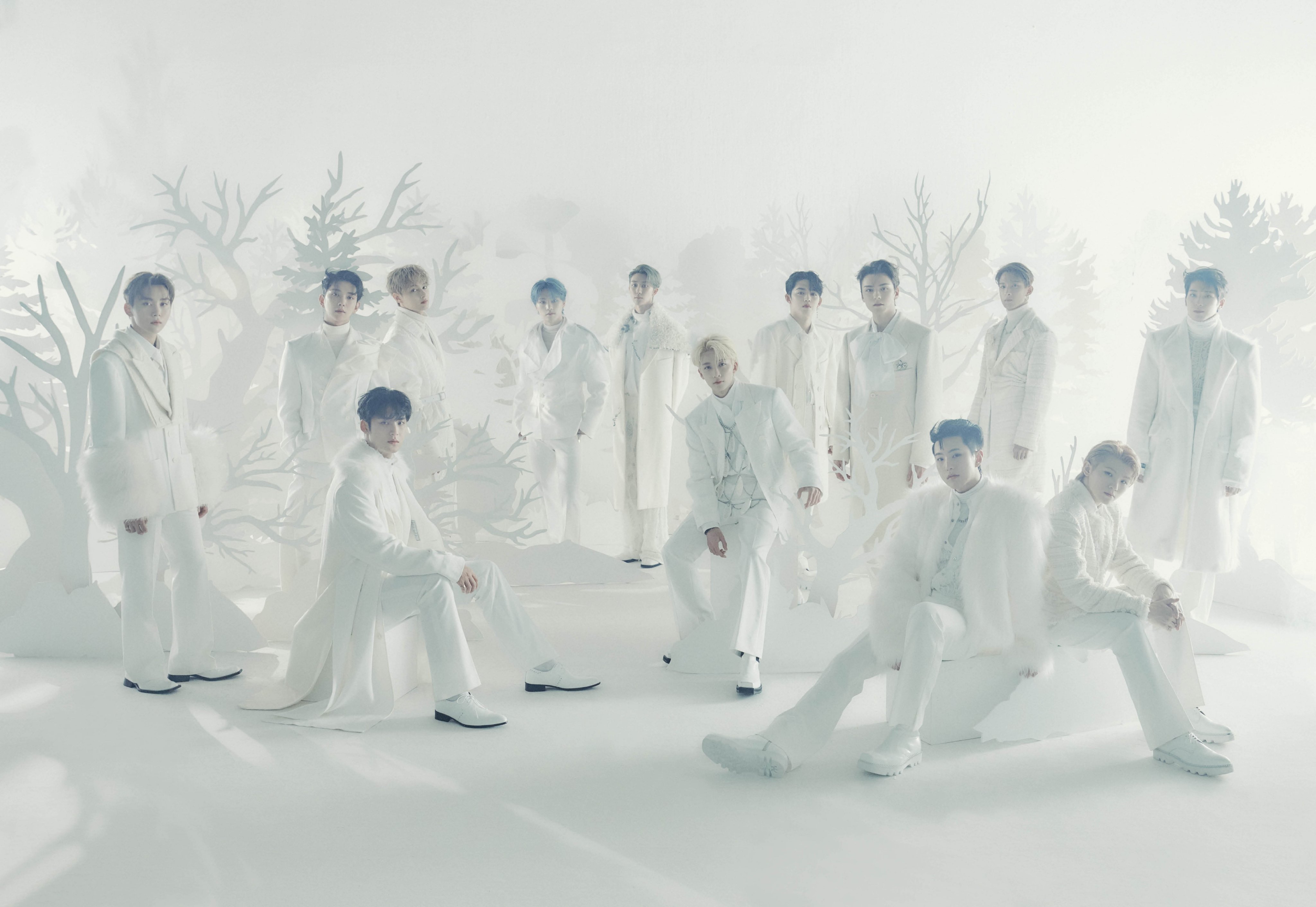 Seventeen Japan Pledis 17jp Twitter