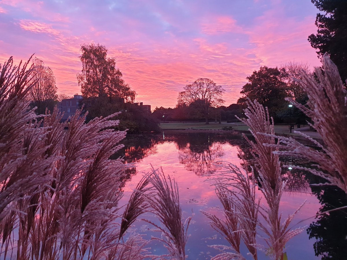 Sunrise over the old lake on Monday #sunrise #uniofyork #gardener #autumn #universityofyork <a href="/Hudsonweather/">Paul Hudson</a>