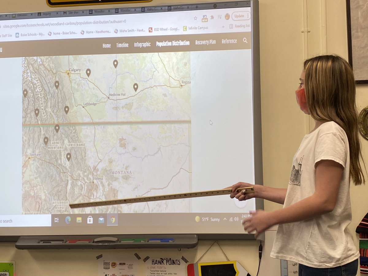 WolfeWanders's tweet photo. Ss explorers shared their research on endangered and threatened species in the Northwest. Ss created Google Sites that included infographics, timelines, distribution maps, cultural significance and recovery plans. #NatGeoEducation #ExplorerMindset #ConnectingFurther https://t.co/lLwBboZKWt