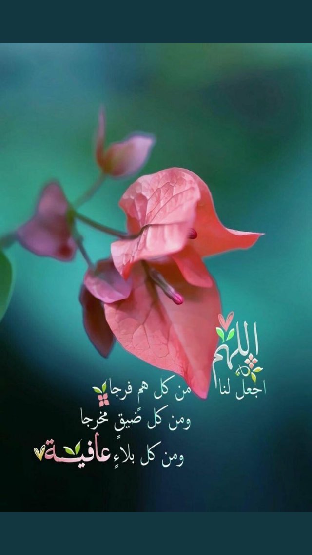 s3aad_'s tweet photo. https://t.co/0SDAH0Kxis