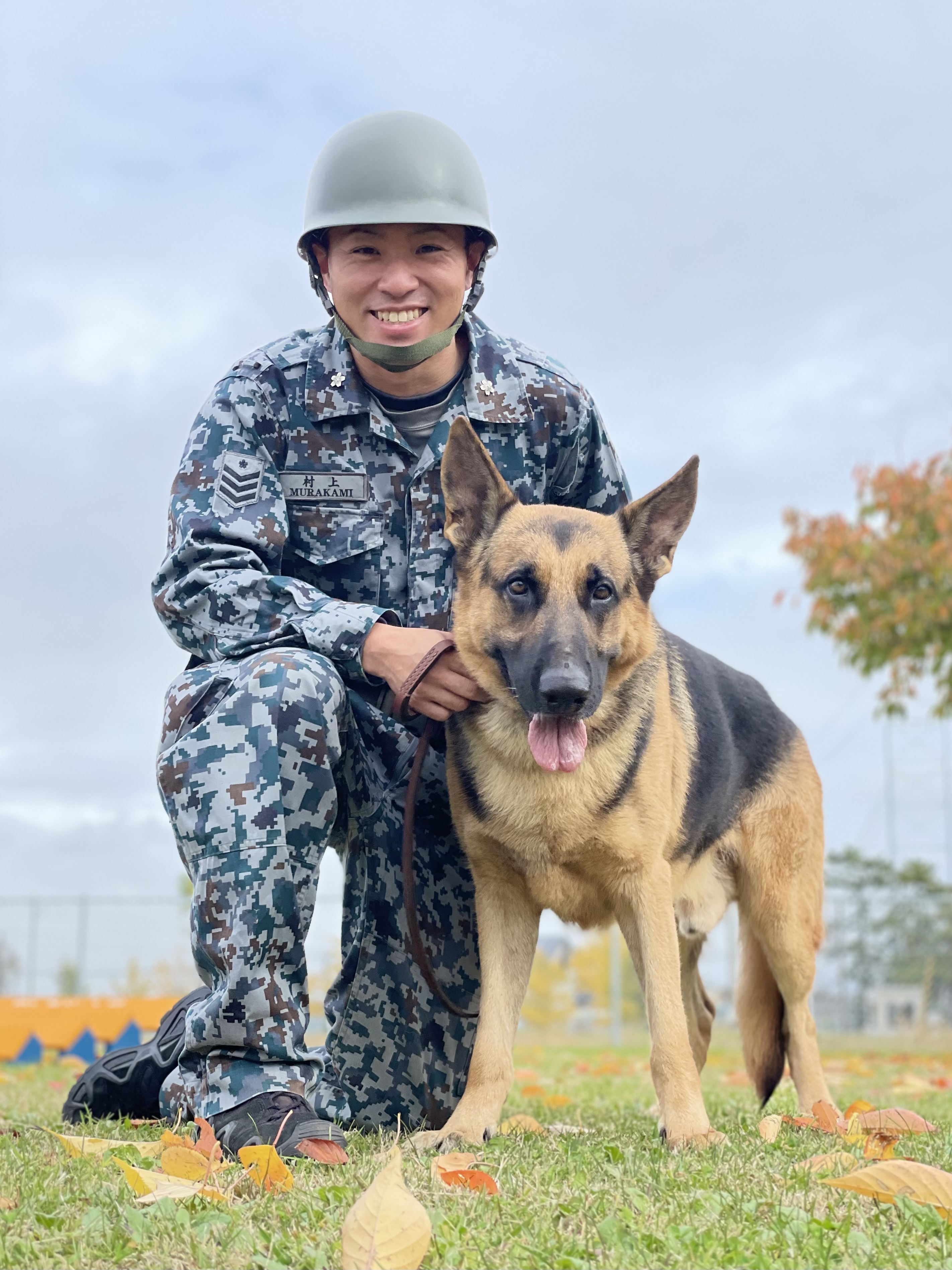 航空自衛隊 松島基地 警備小隊 警備犬 コーク号 写真左 ブラッド号 右上 ジーク号 右下 は警備犬 取扱者と共に日々訓練に励んでいます 将来的には警備犬としての基地警備任務に加え 災害救助任務でも活躍できるよう 警備犬取扱者は担当犬と