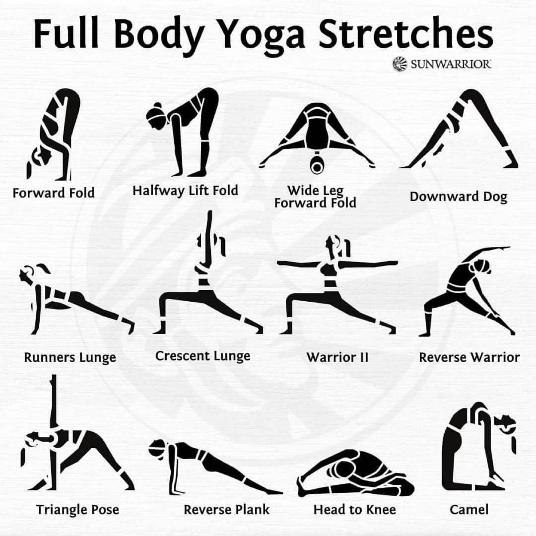 Full Body Yoga Stretches! Perfect for a quick morning stretch or after a workout💪

From:@sunwarrior
#dailyyoga #dailyyogaapp #beginneryoga #yogapose #homeyoga #yogainspo #myyogalife #myyogajourney #myyogapractice #yogalife #yogagirl