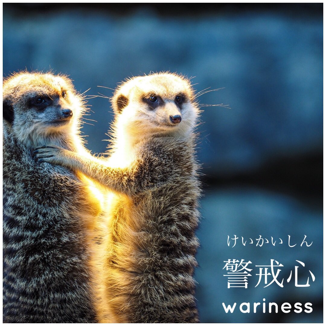 nihongo_no_kai's tweet photo. Random https://t.co/qpTm7vqpG9