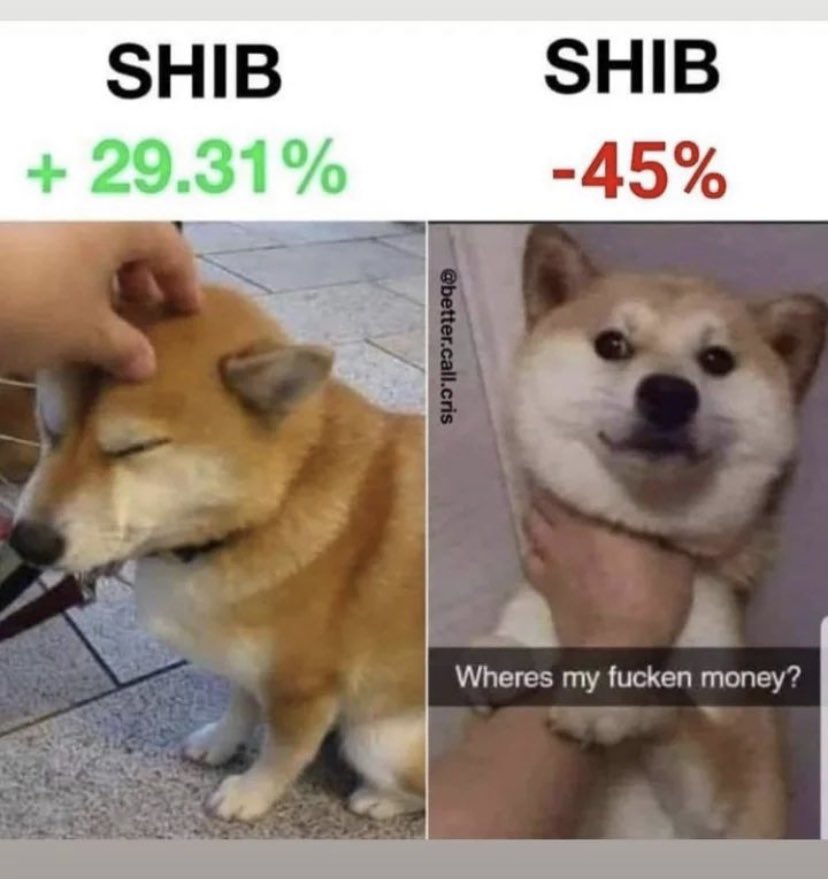 Mohammad Hossein tweet media