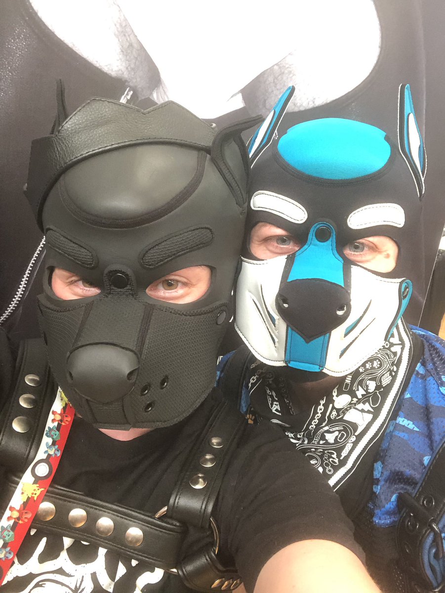 JarethPuppy's tweet photo. Had an amazing weekend with @JamesFrost_3 at MIR! Now for a week full of fun with our ABU Invasion! Come out and say hi to us yโall!
#ABUniverse #MIRubber #paddedpups @MIRubber https://t.co/hEmly7hllY