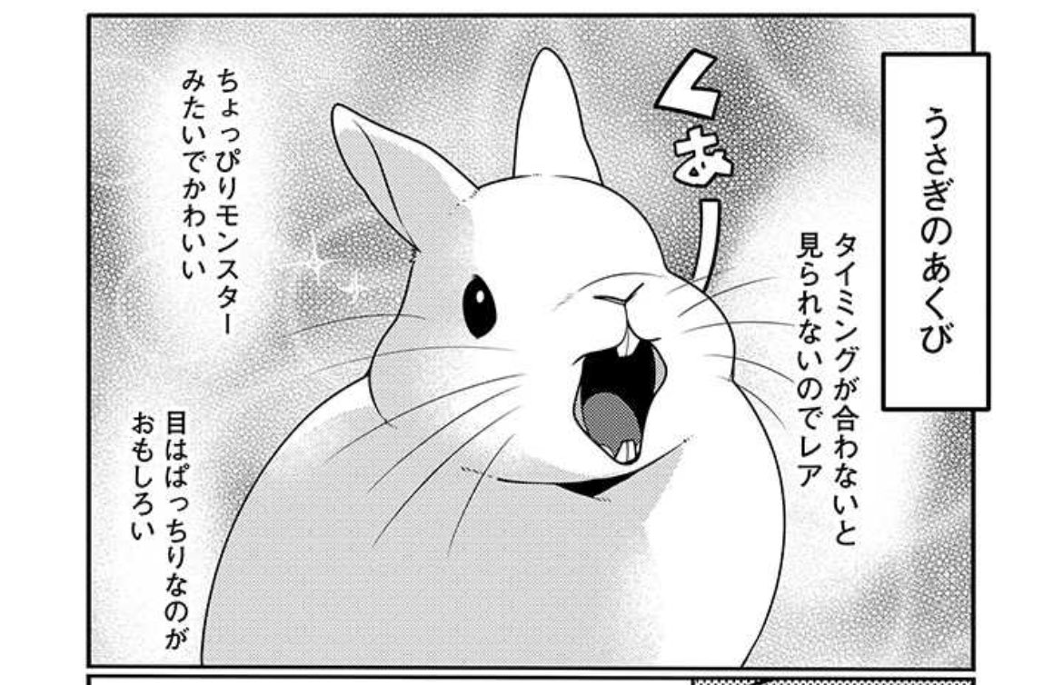 うさぎは正義132話更新されました https://t.co/YiYLMWCziR 