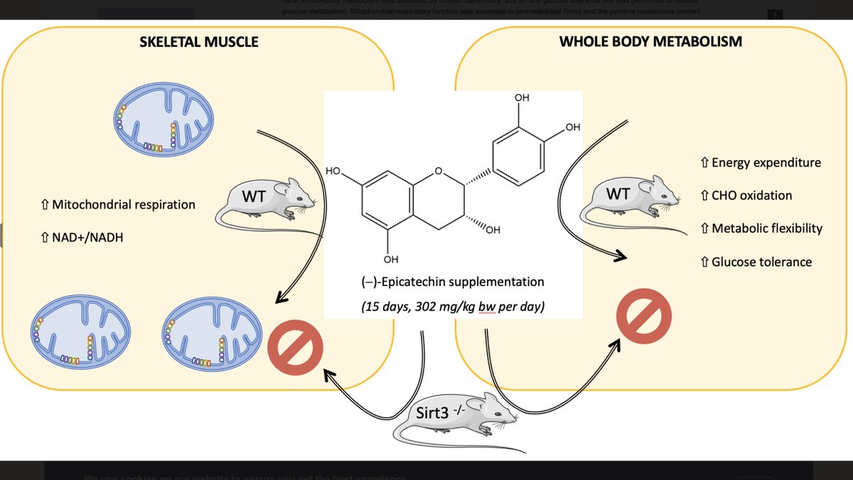 David Sinclair tweet media