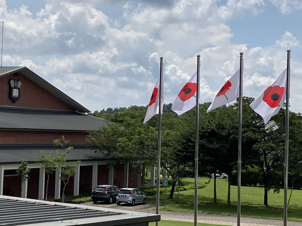 mcm_master's tweet photo. Poppy flags fly on Court as we remember @MarlboroughMCM https://t.co/dxnHOOA9RQ