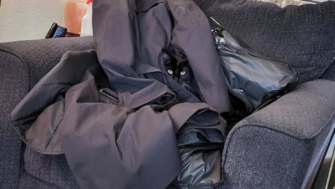 Instead of Where's Waldo... Where's Joey? 😅 https://t.co/WG7S7qFMcs