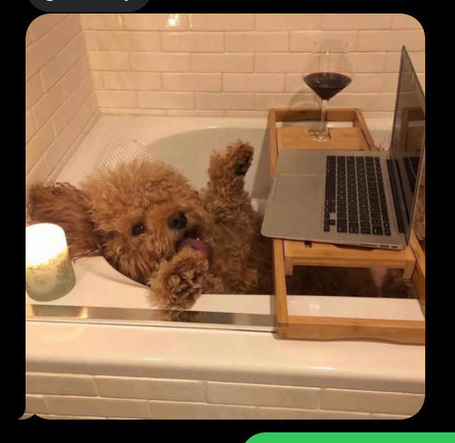 pablobebop's tweet photo. @BAYC2745 here's tobee, to add onto the rest of the other 3500 other cute submissions https://t.co/GDXbrZwwY2