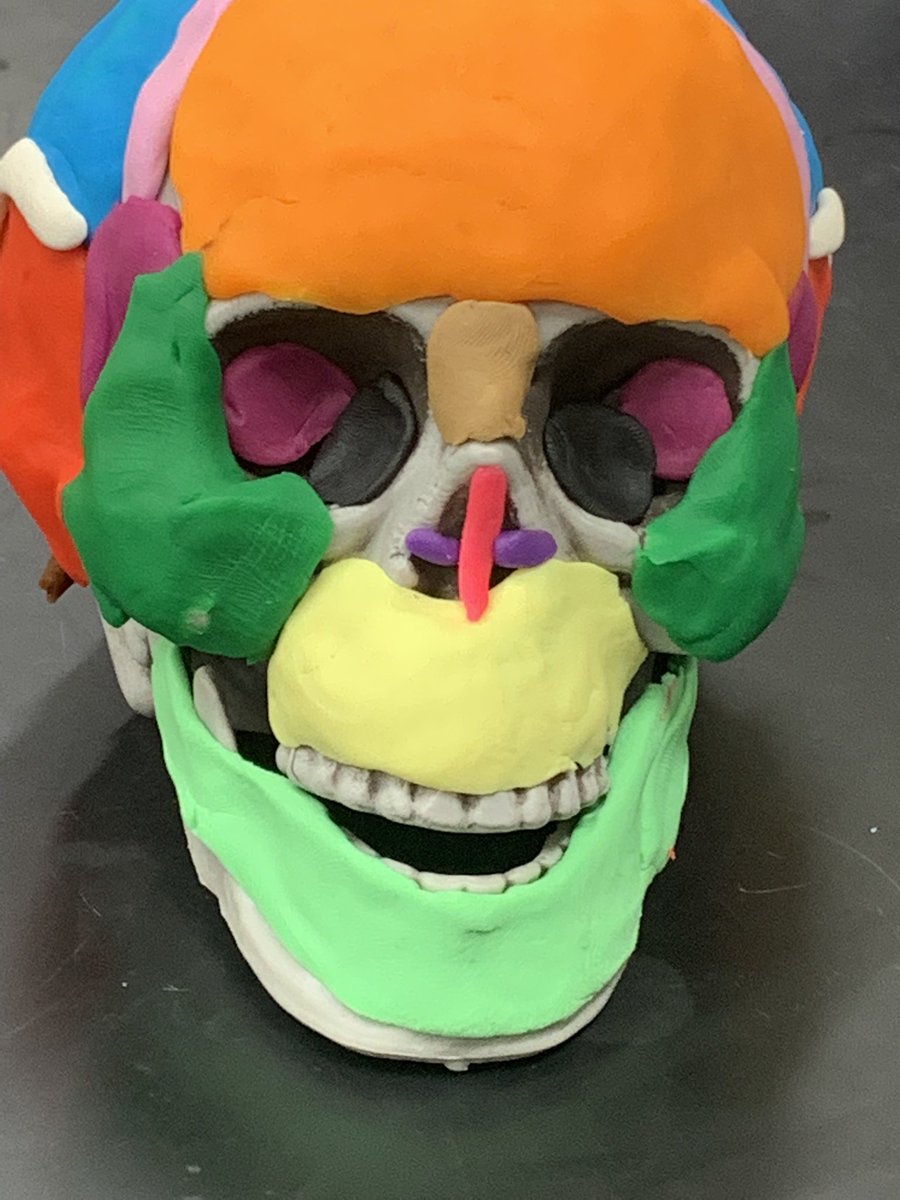 There’s a lot going on in Anatomy &amp; Physiology this month!
#WeAreLakePark