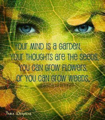 biancaels13's tweet photo. Always stay positive and train you brain! #HappyTuesday #inspirationalquotes #Believe https://t.co/2jzqYCphRo