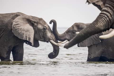 wekesa_amos's tweet photo. My Uganda 🇺🇬! Beautiful Uganda in pictures.

PHOTO CREDIT: @SsebuumaIvan

#VisitUganda #TourismUG #BeautifulUG https://t.co/cCVHAPTslp
