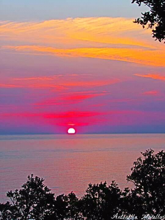 kbashar984's tweet photo. শুভ সকাল https://t.co/auGlDAIqRA