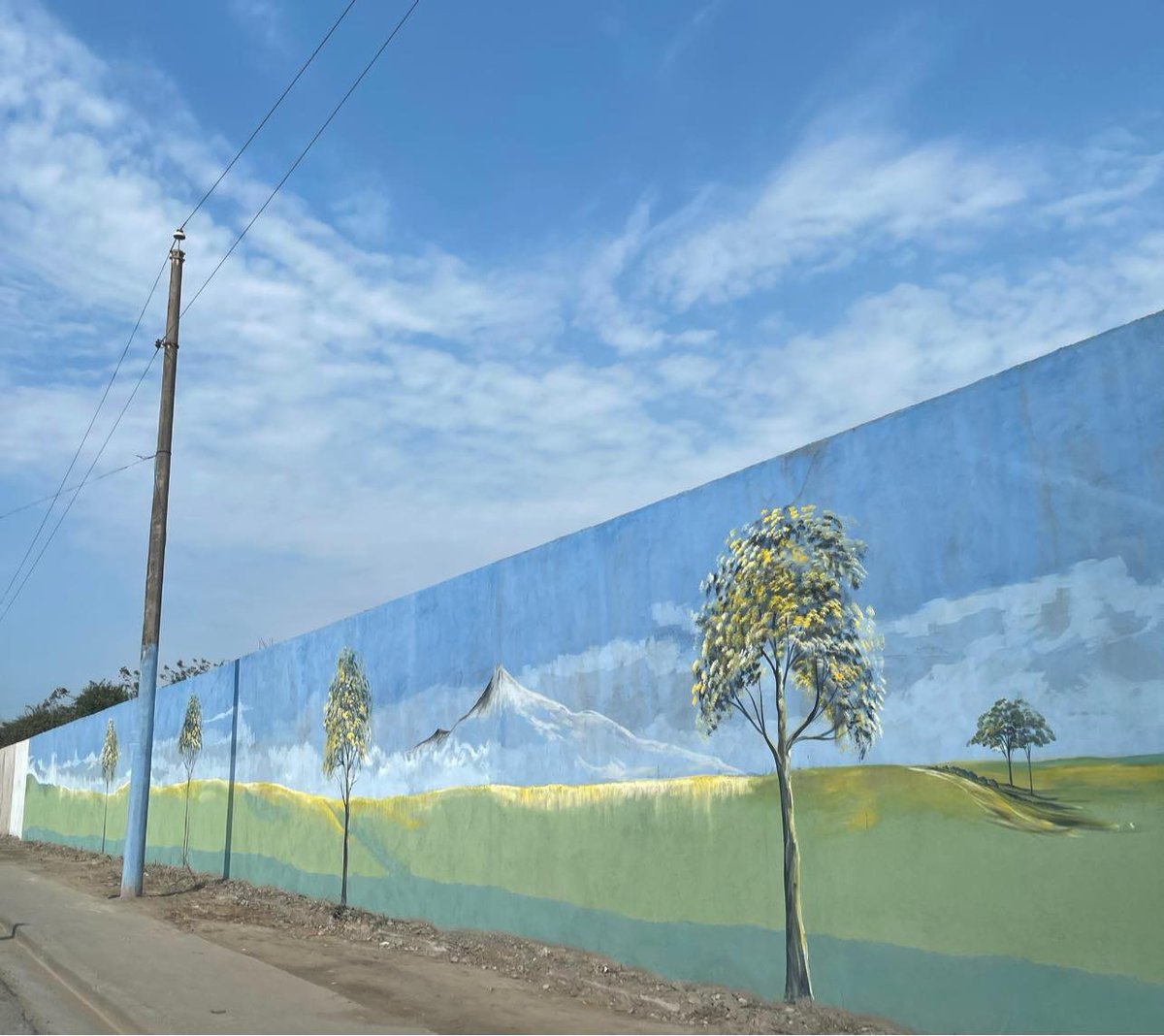 Estimado alcalde <a href="/MacasDario1/">Darío Macas</a>, ¿y si siembra los árboles en vez de pintarlos en una pared?