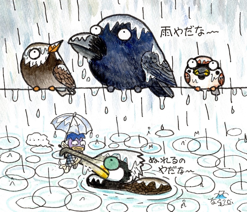 今日は雨、鳥たちはどーしてるかな? 