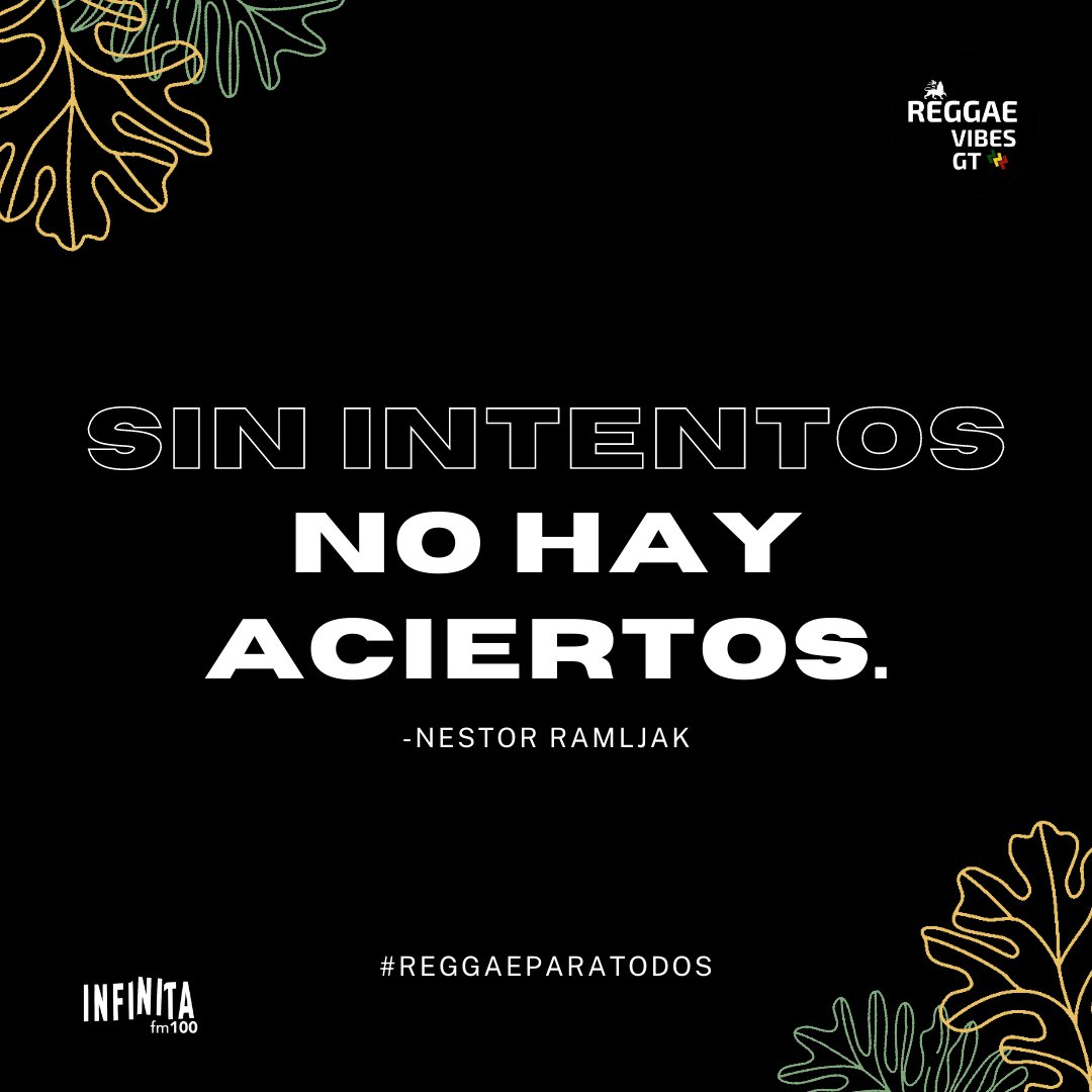 'Sin intentos, no hay aciertos.' 💯🇲🇱💪
@nonpaoficial 

#ModayVibes #ActitudDeLunes #ReggaeParaTodos 
#Reggae #Nonpalidece #SaberADondeIr  #Activistas