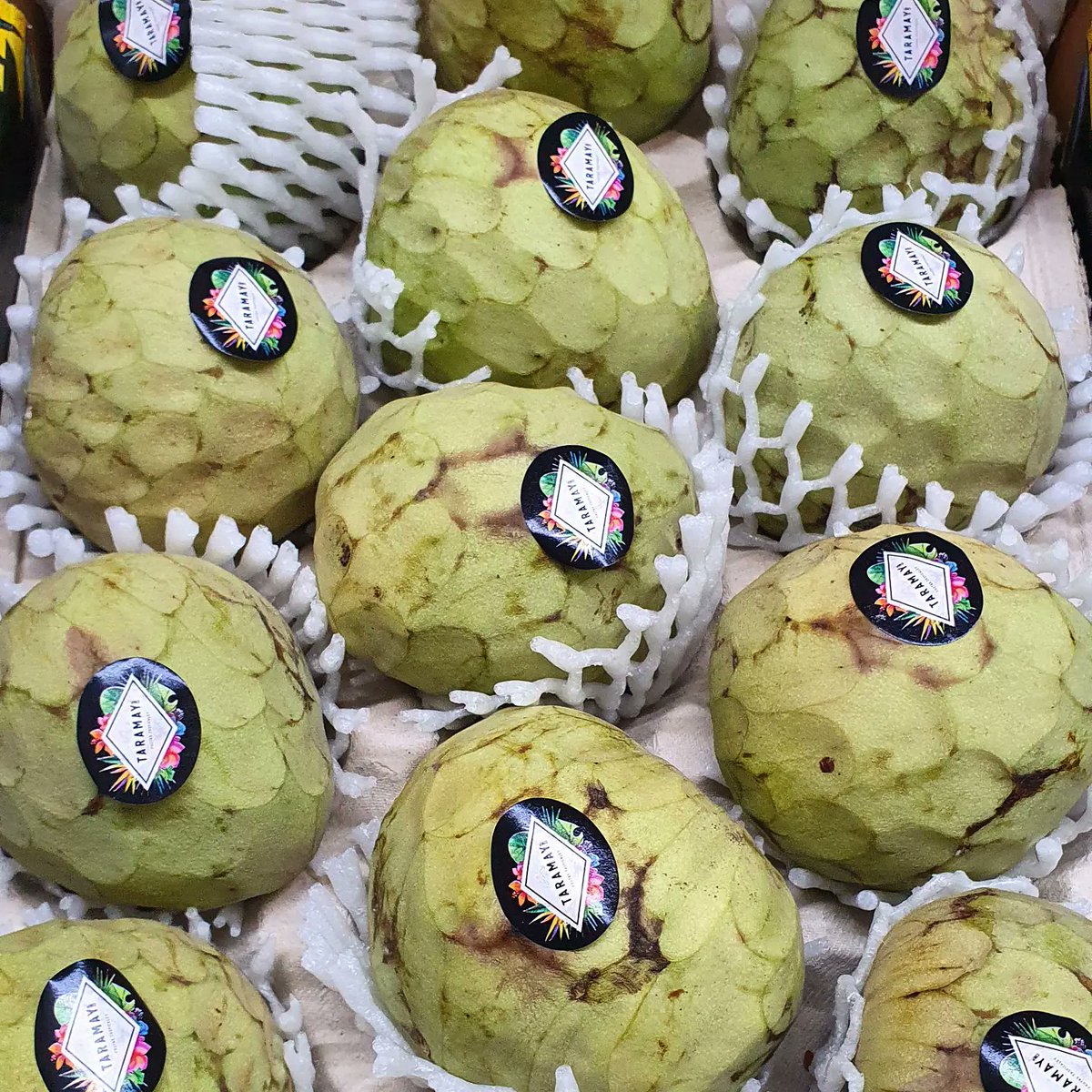 FrenchGardenBr's tweet photo. Always something a little different available here and it's no different today. We have a good range of exotics for you to try if you haven't before. How many can you name?
#exoticproduce #fgb #wholesale #bristolfruitmarket https://t.co/jhChndTawc