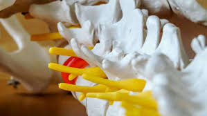 akshaykadam9699's tweet image. #SpinalDevices 
Click Here: bit.ly/3GX8zoW

#SpinalDevices will register a 3.5% CAGR in terms of revenue, the global market size will reach $ 10870 million by 2026.

By Key Players – @Medtronic ,J &amp;amp; J,@NuVasiveInc ,Stryker, and others.