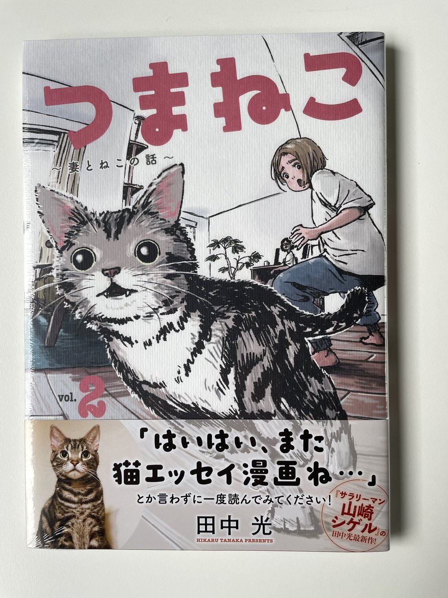 「つまねこ②」田中光・著をおくっていただいた。確かに妻と猫の表紙である。愛猫にも読ませようと思います。 