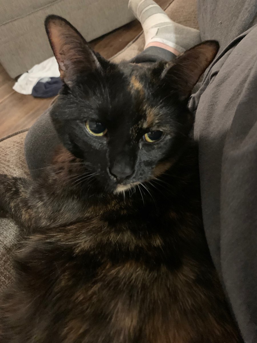 TheGraybies tweet picture