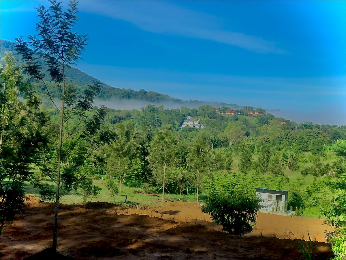 เขาค้อยามสายๆกับสายหมอกบางๆ