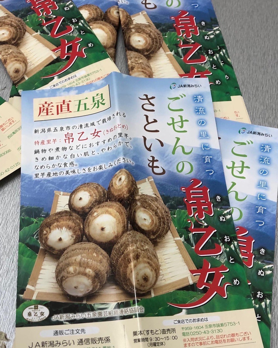 衣笠商店街 忠犬タマ公 をご縁として交流が続いている新潟県五泉市より里芋 帛乙女 きぬおとめ をいただきました 毎年仲通り商店街で行われる五泉市物産展は大変好評で 里芋だけでなくお米や栗 日本酒などの特産品がすぐに売り切れてしまいます