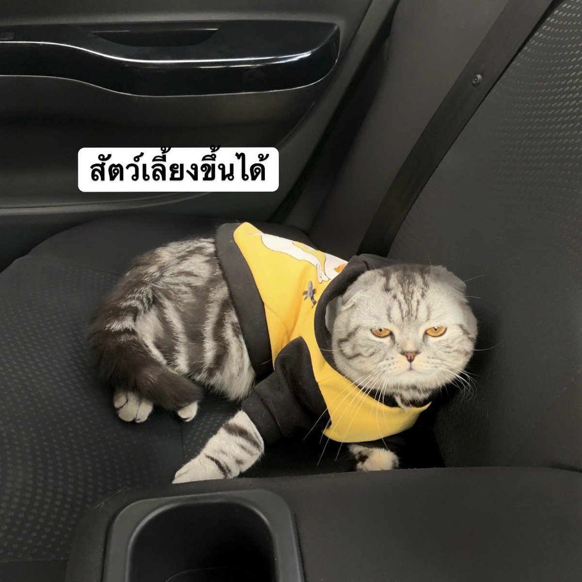อาร์(นา)ฐา ♡ tweet media