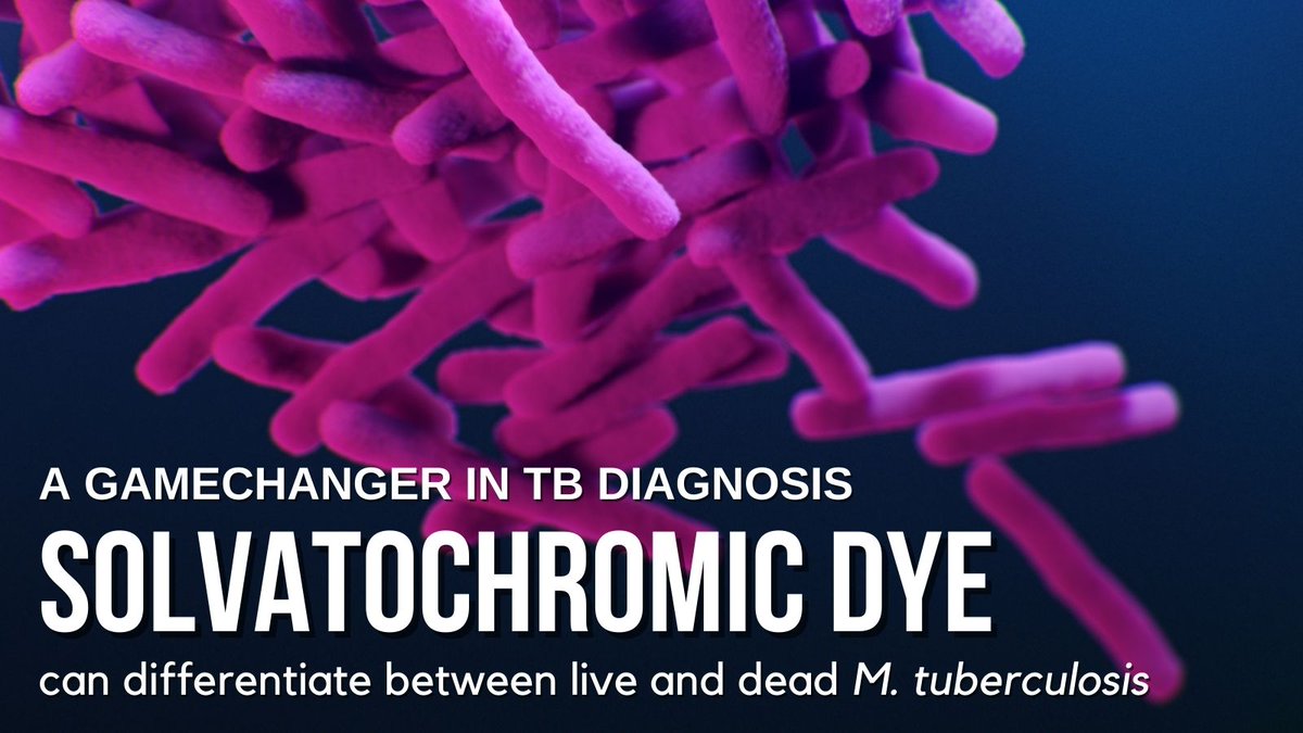 asia_biotech's tweet photo. 😷 In an interview with Ruby E Dewi, General Manager of @MediLuxB we shed on light tuberculosis’s prevalence in Asia and how we can reduce the burden of infectious diseases through innovative breakthrough like their novel dye.⁠🦠⁠
https://t.co/VP8D2lUoyV https://t.co/cQRCqj2tbz