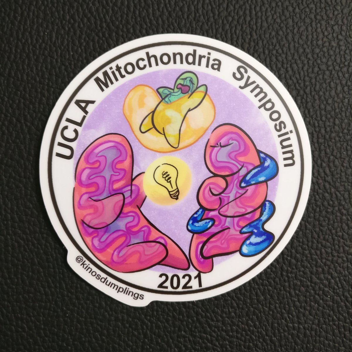 These guys are making their debut at the UCLA #Mitochondria Symposium in December 9-11, 2021! 

uclamitosymposium.com

Can you pick out mitophagy and interorganelle interactions in this sticker?

#scientificillustrator #scicomm